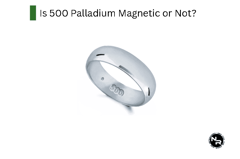Is Palladium 500 Magnetic or Not?