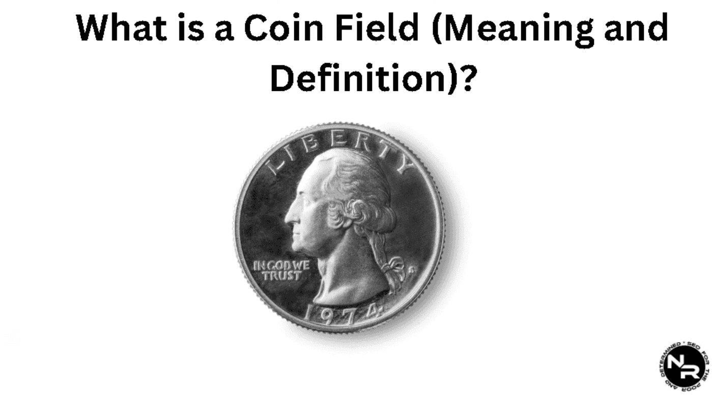 What is a Coin Field (Meaning and Definition)?