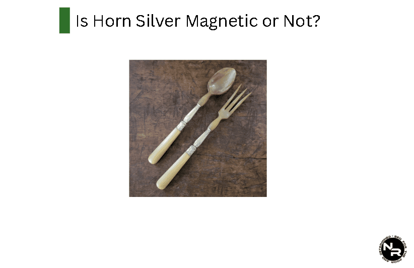 Is Horn Silver Magnetic or Not?