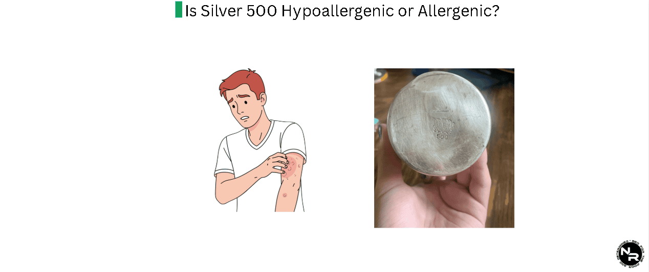 Is Silver 500 Hypoallergenic or Allergenic? Is Silver 500 Hypoallergenic or Allergenic?