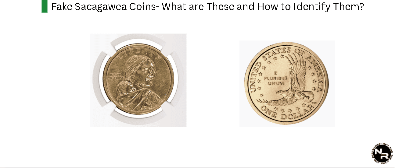 Fake Sacagawea Coins- What are These and How to Identify Them?