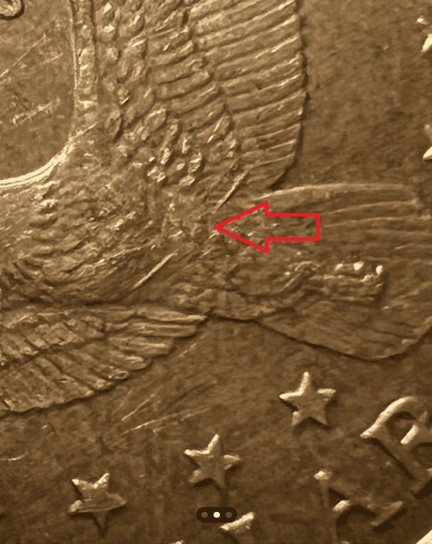 Nearly invisible arrow piercing the eagle's wing. Nearly invisible arrow piercing the eagle's wing.