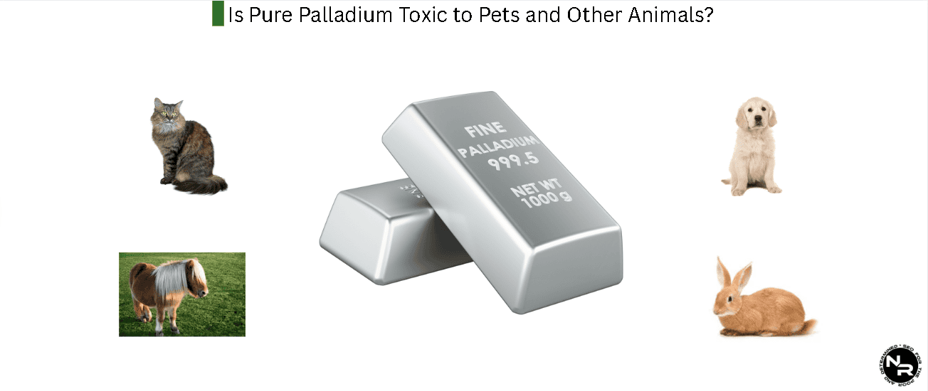 Is Pure Palladium Toxic to Pets and Other Animals?