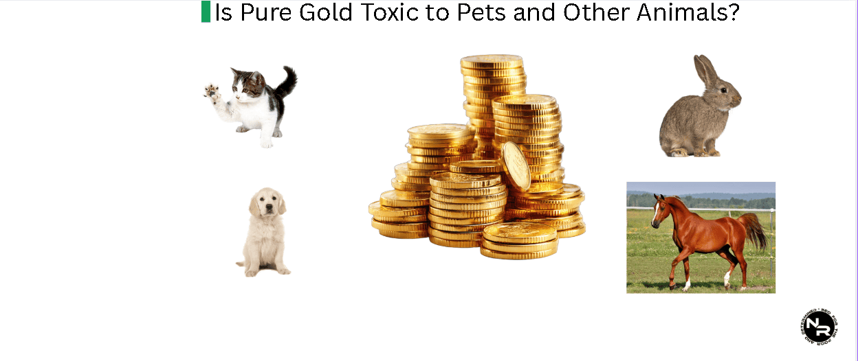 Is Pure Gold Toxic to Pets and Other Animals? Is Pure Gold Toxic to Pets and Other Animals?