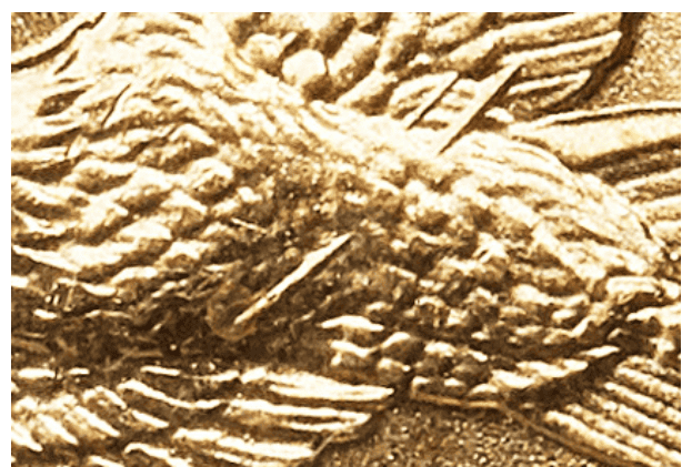 Very visible wounded eagle Sacagawea coin variant Very visible wounded eagle Sacagawea coin variant